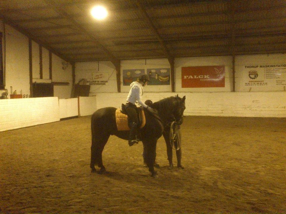 Anden særlig race Zeus - Første gang jeg var på Zeus, min dygtige lille skat! <3<3 billede 1