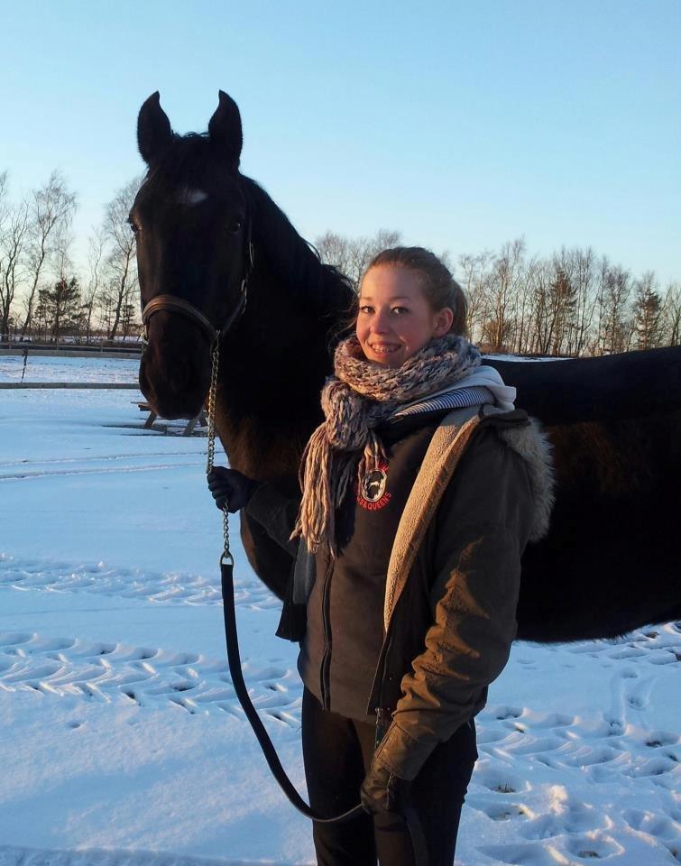 Anden særlig race Zeus - lige fået ham hjem da det her billede blev taget. Hold da op hvor var han sej!  billede 3