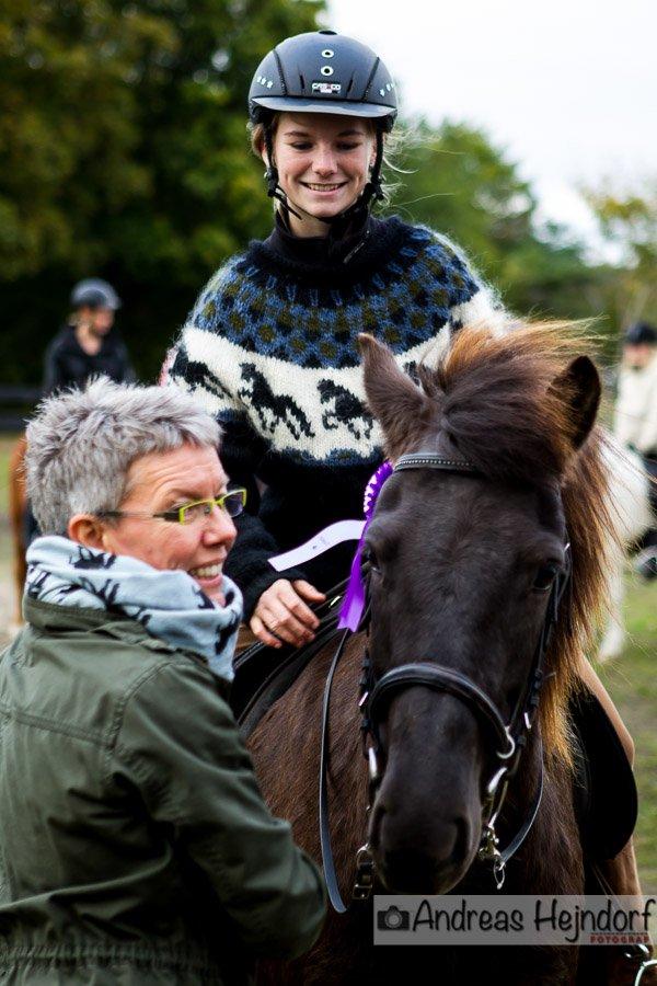 Islænder SVALA FRA ANNERUP (Svalte) - Mors dygtige lille babyhest, var så sød til Tvisturs klbustævne den 5 oktober 2013 <3 billede 2