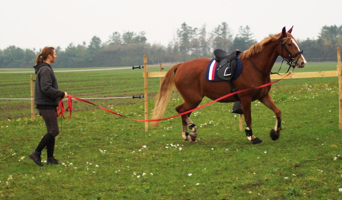 Frederiksborg Vejvads Chanel billede 30