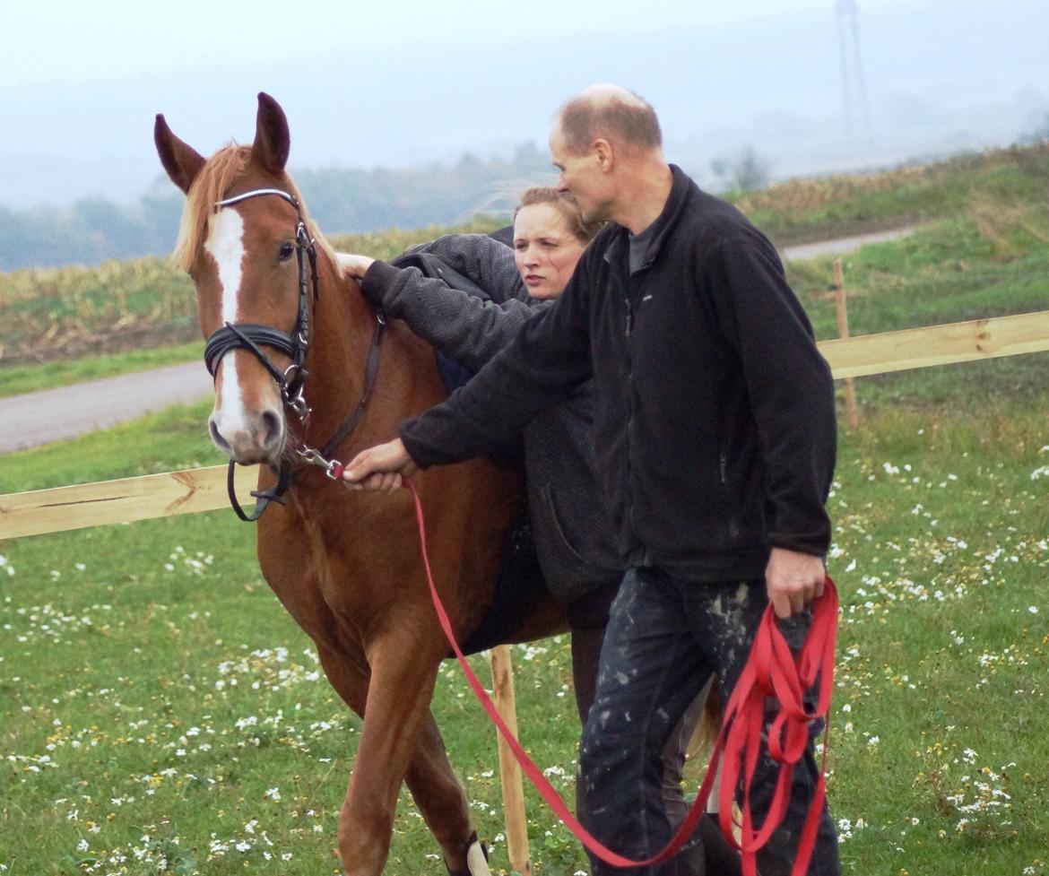 Frederiksborg Vejvads Chanel billede 37