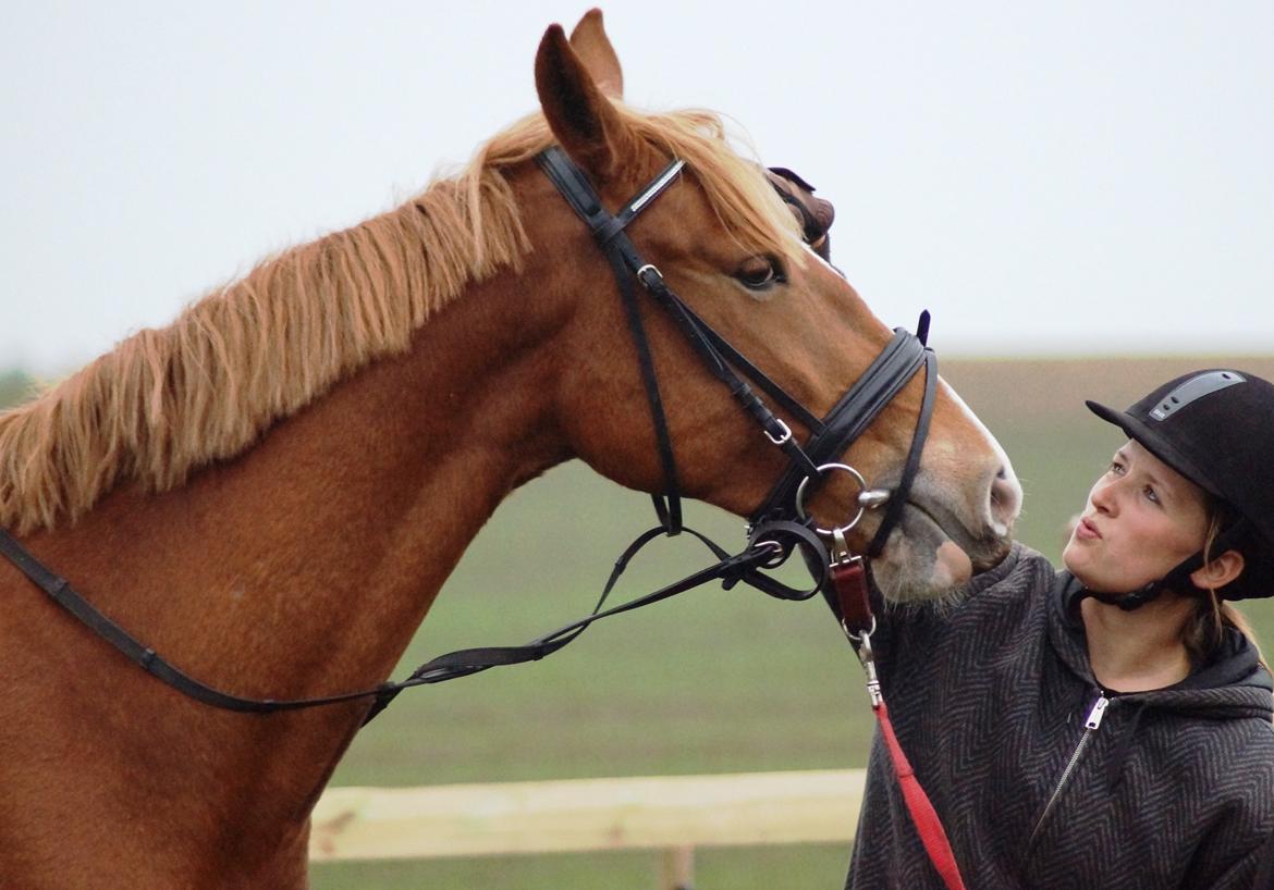 Frederiksborg Vejvads Chanel billede 40