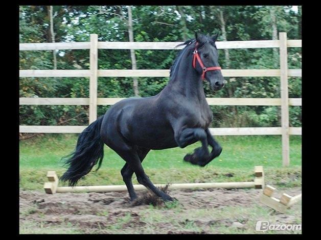 Frieser Doutzen . - Ohhlala  :-) . billede 6