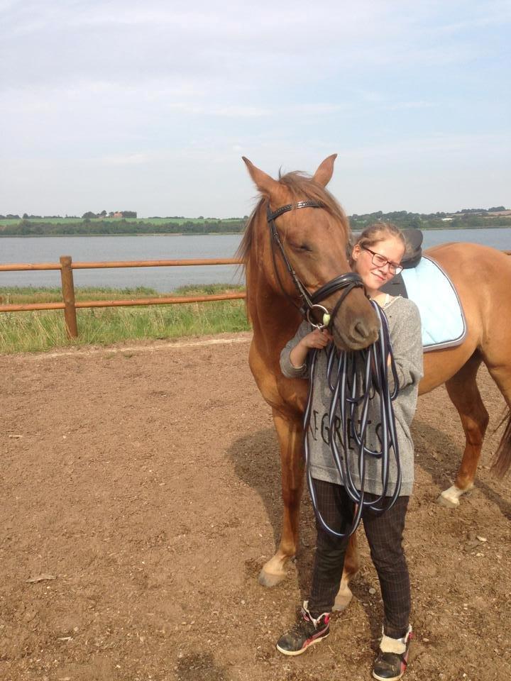 DSP Baily - Han er da lidt kær ;) billede 11