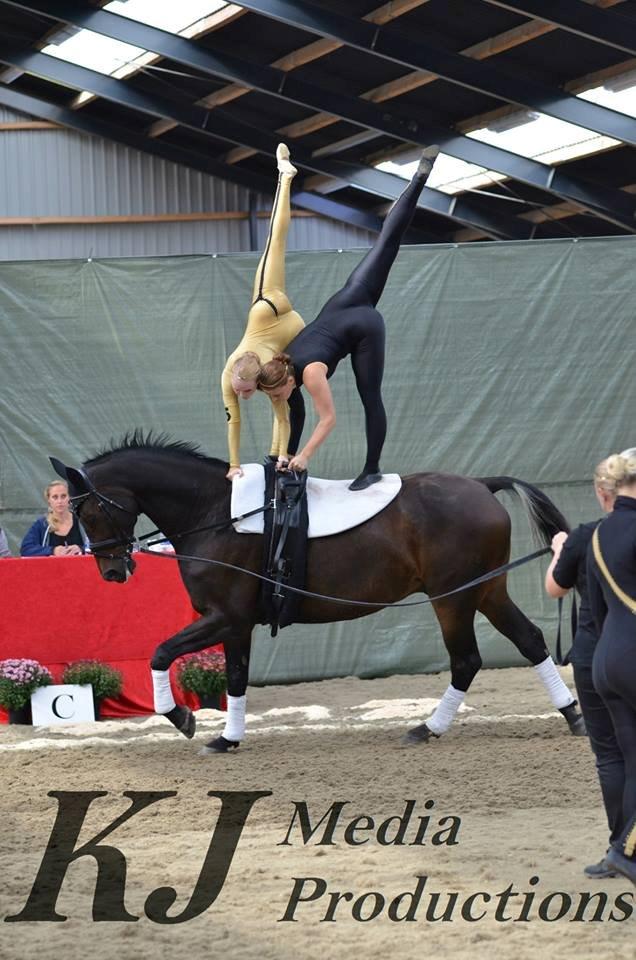 Holstener Jarl - Landsmesterskaberne 2013 - på Hjemmebane billede 14