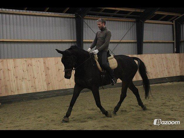 Holstener Jarl - Jarl og min halvfar. billede 15