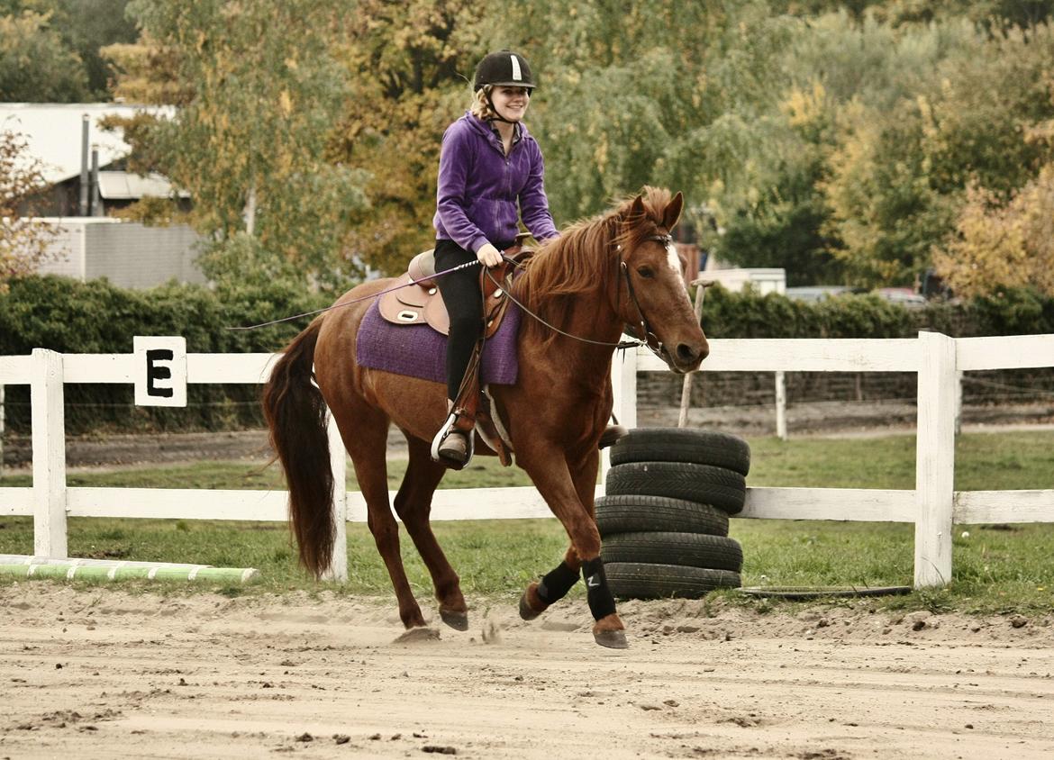 Anden særlig race | Galina Desire - 08.10.2013 billede 4