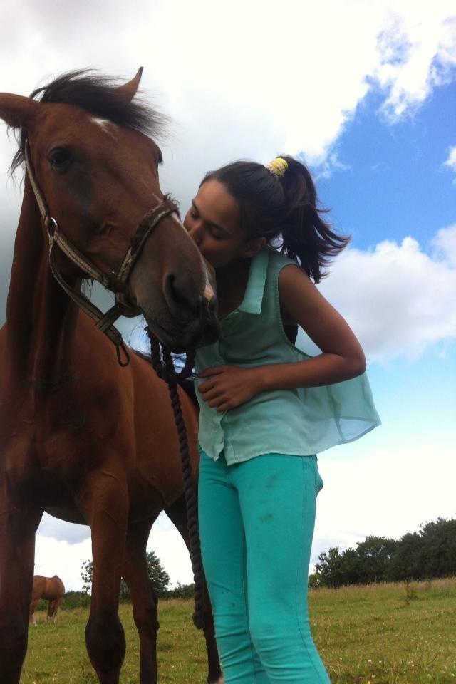 Traver Zensei. - På sommerfolden): billede 1