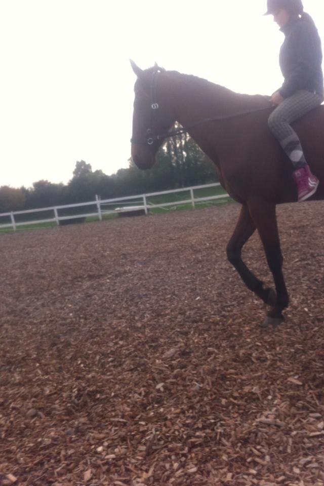 Traver Zensei. - et lille billede af mig og skatten:) billede 3