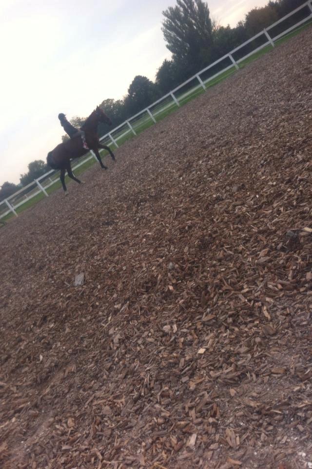 Traver Zensei. - Riiiider skatten (tag jer ikke af mig ) :P billede 6