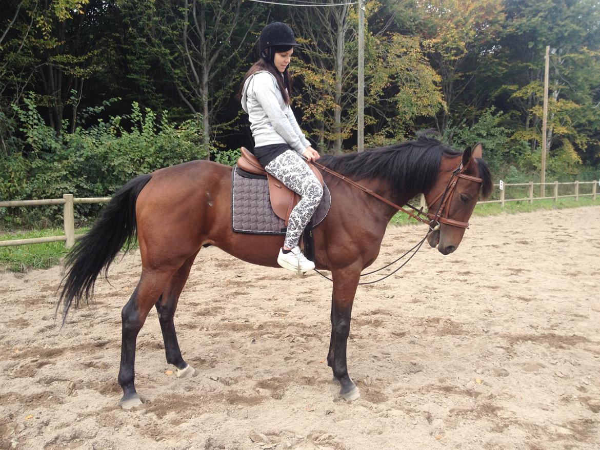 Traver Ofero Langdel *Øffe* - smidigheds træning billede 10