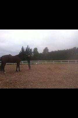 Traver Zensei. - lidt tricks øvelse:) billede 8