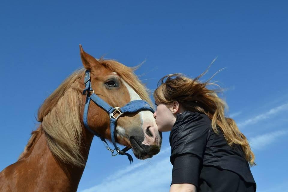 Welsh Cob (sec D) Whitesocks(Sokke) - Det er ikke svært at finde en, der kan få dig til at smile, og det er ikke svært at finde en, der kan få dig til at græde. Kunsten er at finde en, der kan få dig til at smile med tårer i øjnene. <3 billede 19