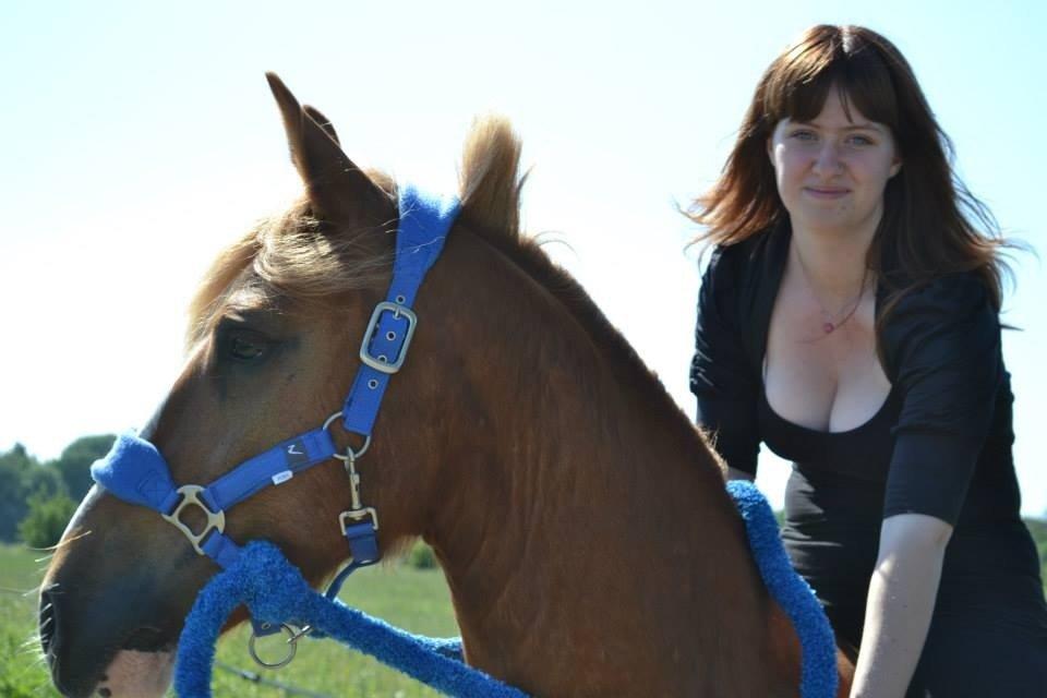 Welsh Cob (sec D) Whitesocks(Sokke) - tak fordi i kiggede forbi <3 hej hej <3 billede 26