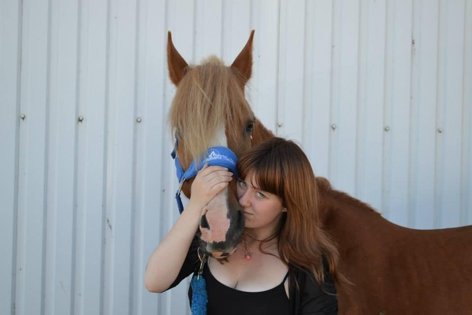 Welsh Cob (sec D) Whitesocks(Sokke) - elsker det her billede <3 du dejlig mit skønne dyr <3 billede 13