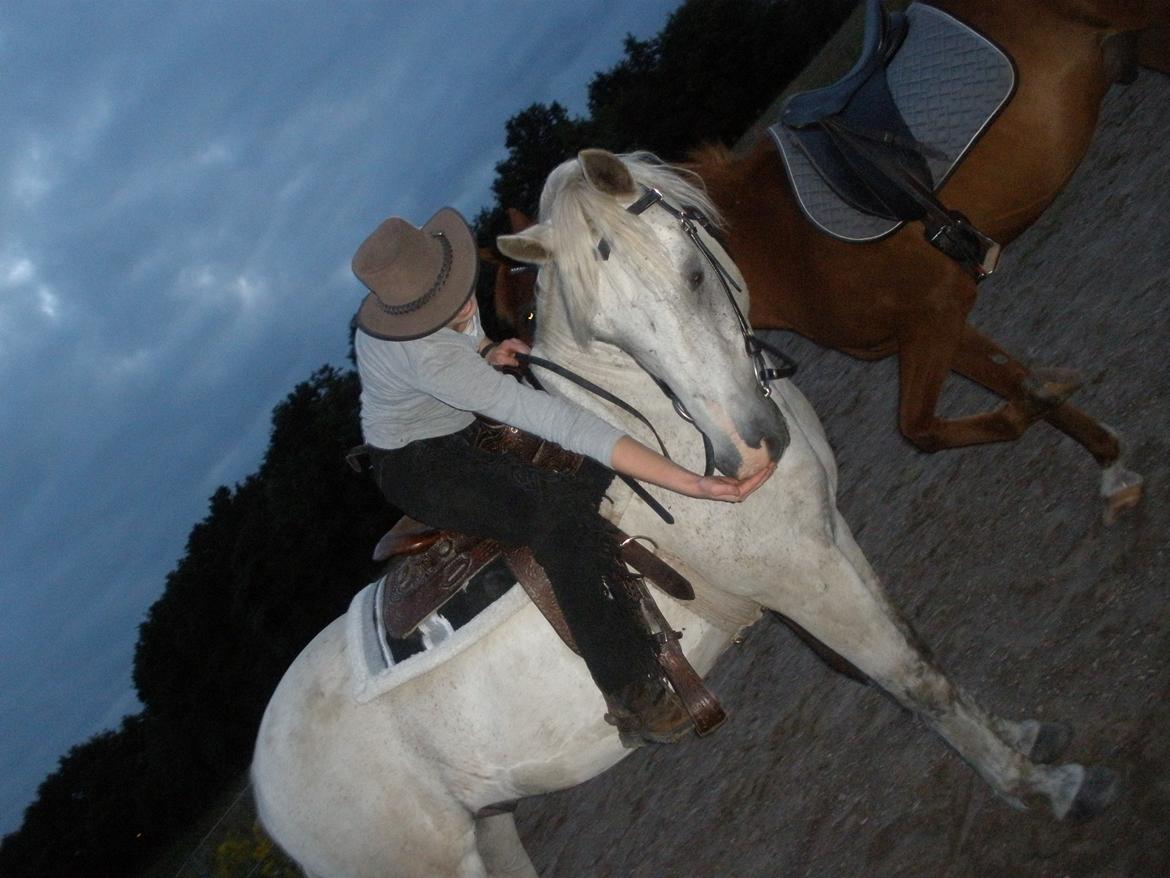 Connemara Flying A / Amico billede 40