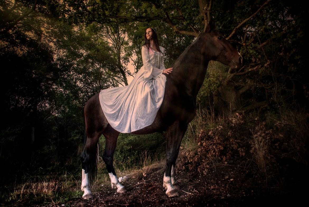 Hollandsk Varmblod Annika - Lidt eventyr :) billede 25