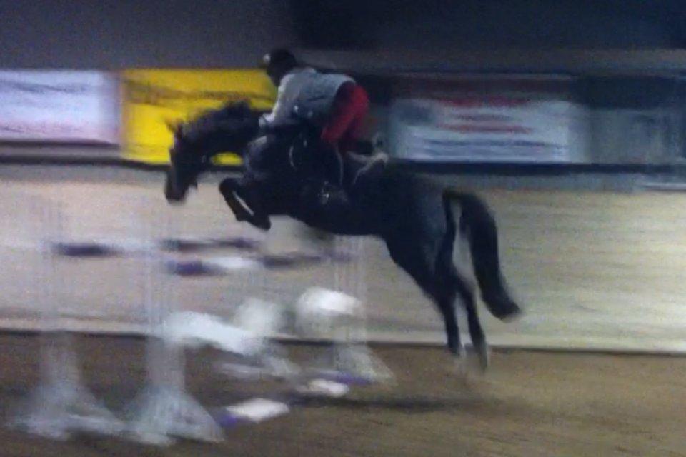 Dansk Varmblod Åkærs Zabina - Da jeg prøvede sorte :-) billede 6