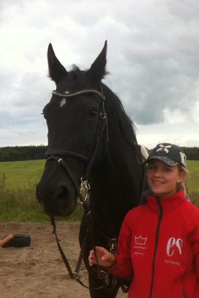 Dansk Varmblod Åkærs Zabina billede 11