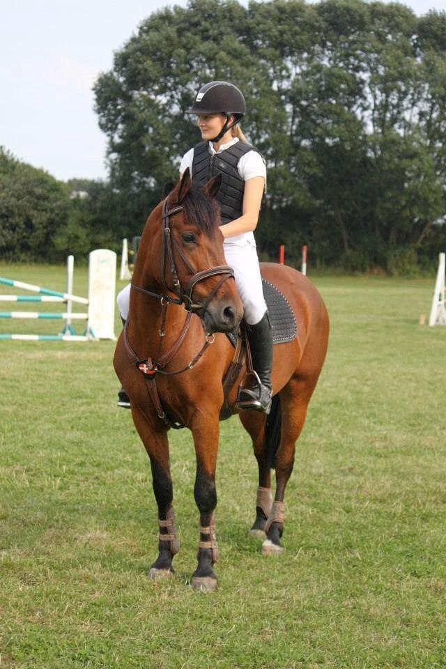 New Forest Enggårdens Conrad billede 23