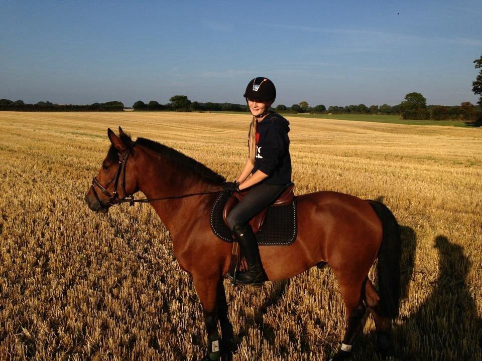 New Forest Enggårdens Conrad billede 24