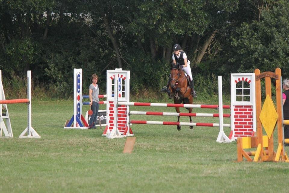 New Forest Enggårdens Conrad billede 25