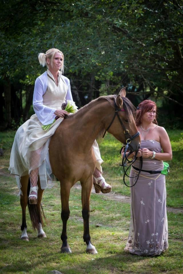 Anden særlig race Unica star - Unica som Brude-pony :-) billede 5