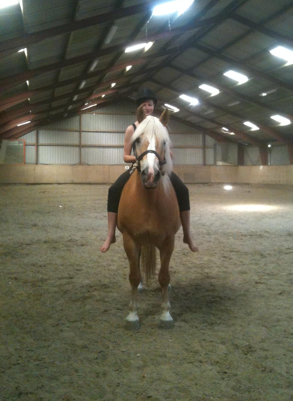 Haflinger Grynet (Kaldes Gry) - Alt betyder ingenting uden kærlighed... <3 billede 19