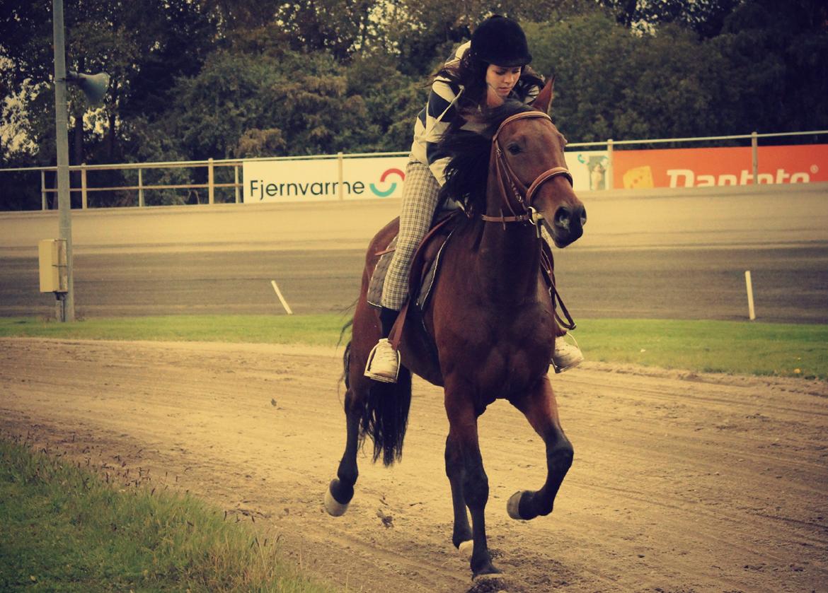 Traver Ofero Langdel *Øffe* billede 6