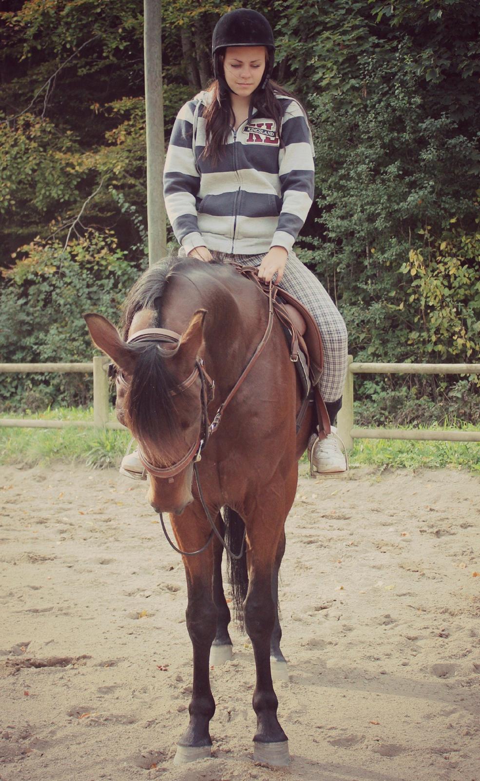 Traver Ofero Langdel *Øffe* billede 12