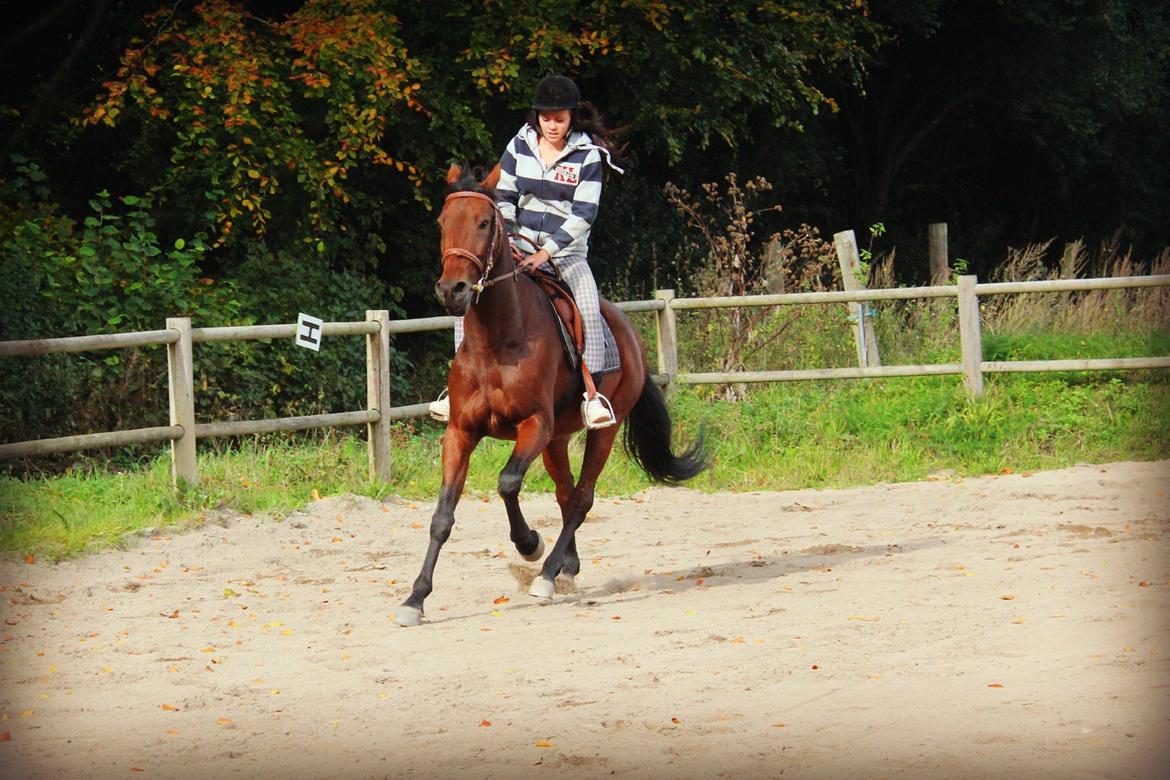 Traver Ofero Langdel *Øffe* billede 13