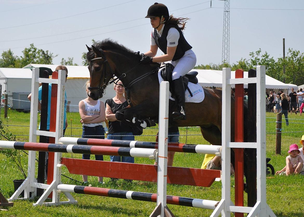 New Forest Odden's Daytonna A-Pony - Hjallerup marked springchampionat 2013 - MB2** - 5.plads <3 billede 3