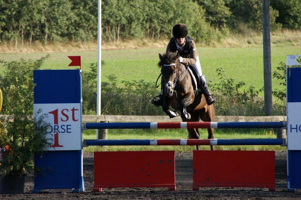 New Forest Odden's Daytonna A-Pony - Kallehavegård 2012 - MB2**<3 billede 4