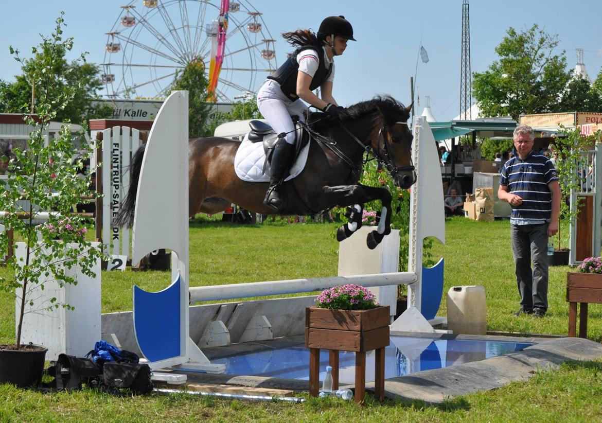 New Forest Odden's Daytonna A-Pony - Hjallerup marked springchampionat 2013 - MB2** over vandgraven<3 billede 10