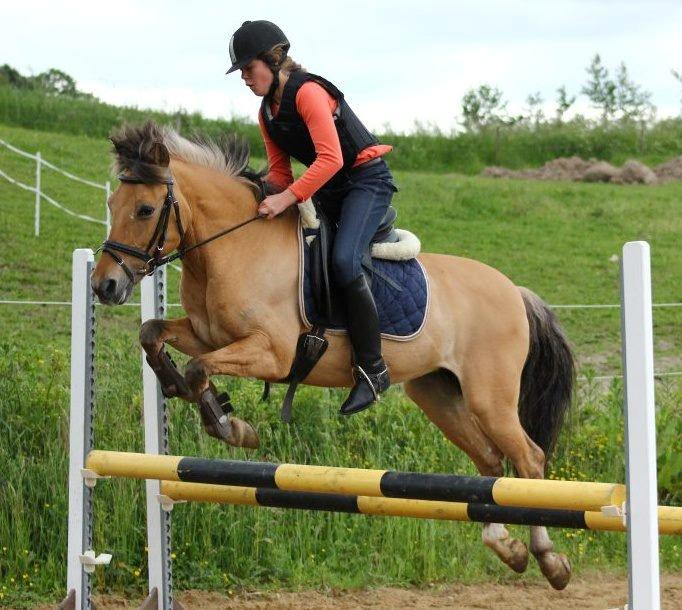 Anden særlig race Giggi billede 7