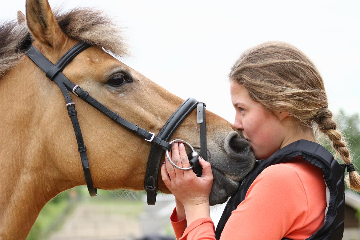 Anden særlig race Giggi billede 10