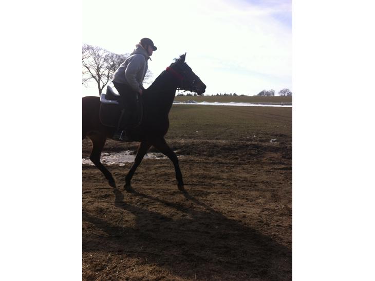 {{currentPhoto.altText}} billede {{currentPhoto.number}}