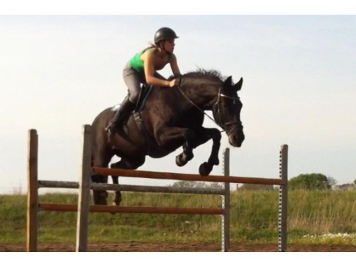 {{currentPhoto.altText}} billede {{currentPhoto.number}}