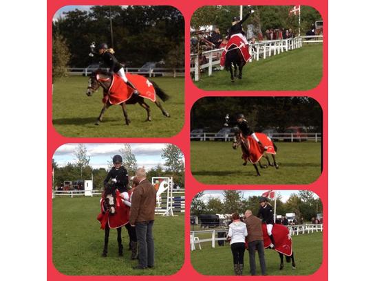 {{currentPhoto.altText}} billede {{currentPhoto.number}}