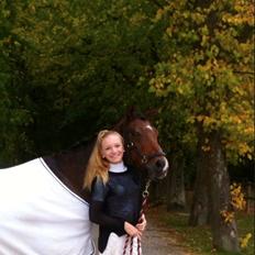 Welsh Pony (sec B) Victoria Madly <3 (A pony)