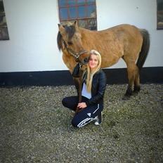 Anden særlig race Blinka (himmelhest)