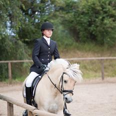 Fjordhest Lucas Kaptain(SOLGT)