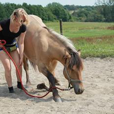 Anden særlig race Talon Memphis AKA. Mems<3