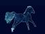Arabisk fuldblod (OX) GS Sharif Ibn Gamil," Hingst"