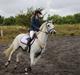 Irsk Sportspony Lancelot