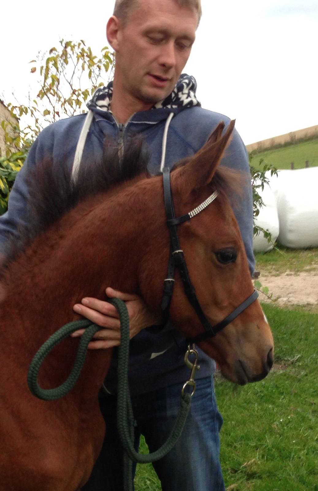 Anden særlig race Antos Lucky Bellissima billede 6