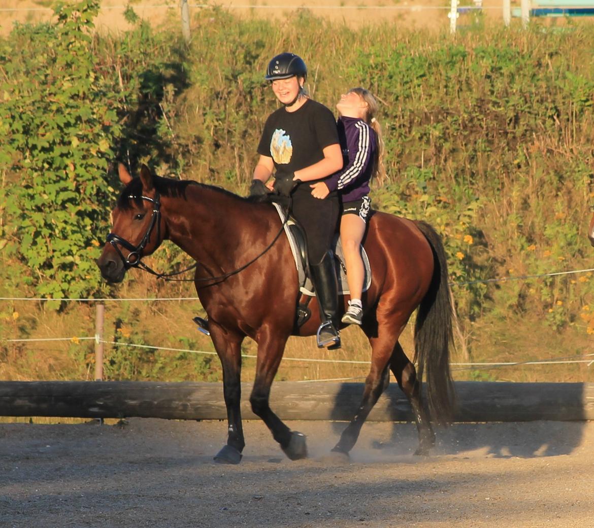 Traver Baron EK (S) billede 14