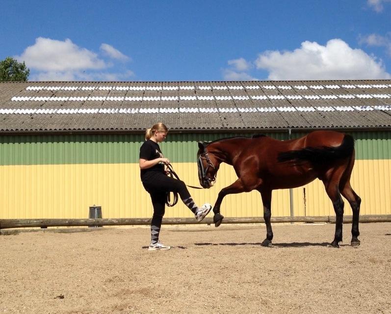 Traver Baron EK (S) billede 12