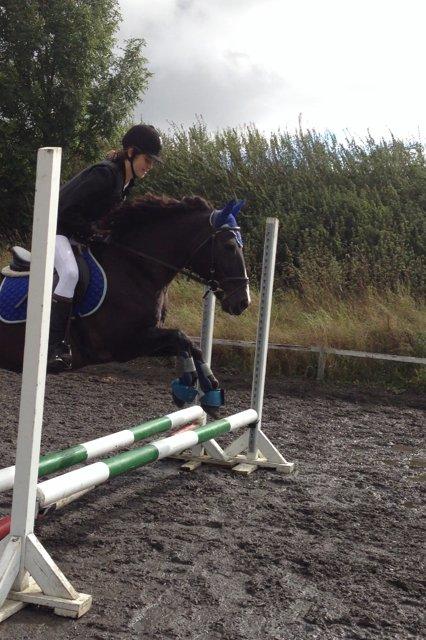 Anden særlig race Santos ¤rideskolepony¤ - Mig Santos. Opvarmning til stævne. Babyjump. Sommeren 2013.  Foto: Sofie Schøler. Smid gerne en kommentar +bedømmelse billede 7