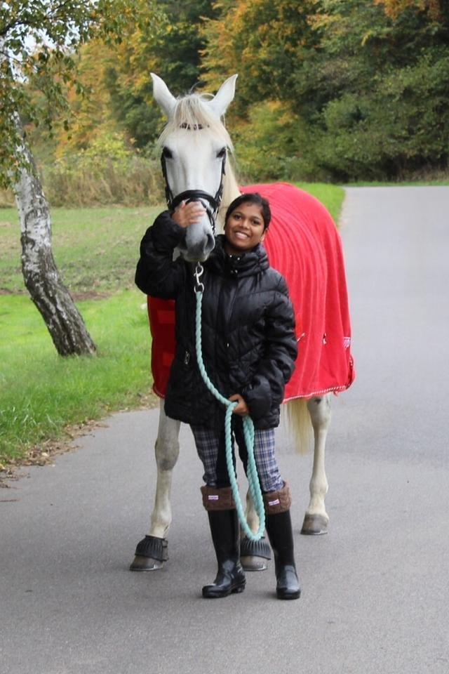 Lusitano Vento - Mig og min skønne hest :) billede 5